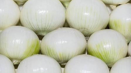 CEBOLLA BLANCA