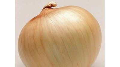CEBOLLA HIBRIDA