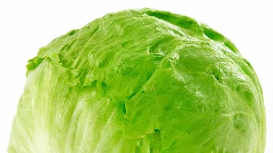 LECHUGA ARREPOLLADA