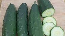 PEPINO HIBRIDO