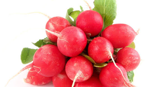 RABANITO