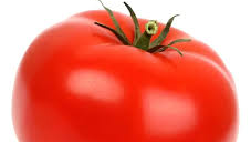 TOMATE HIBRIDO DE MERCADO REDONDO