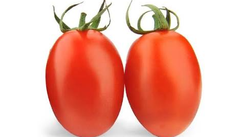 TOMATE HIBRIDO DE MERCADO PERITA