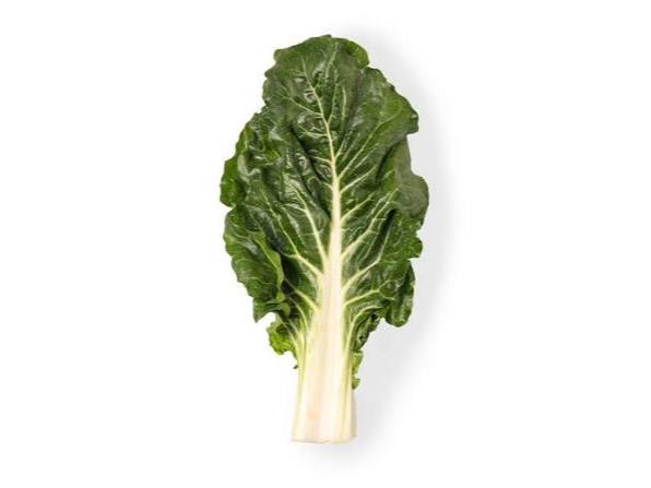 VERDE PENCA BLANCA ANCHA - ALFOIL 3 KG