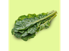 VERDE DE PENCA VERDE - BOLSA 10 KG