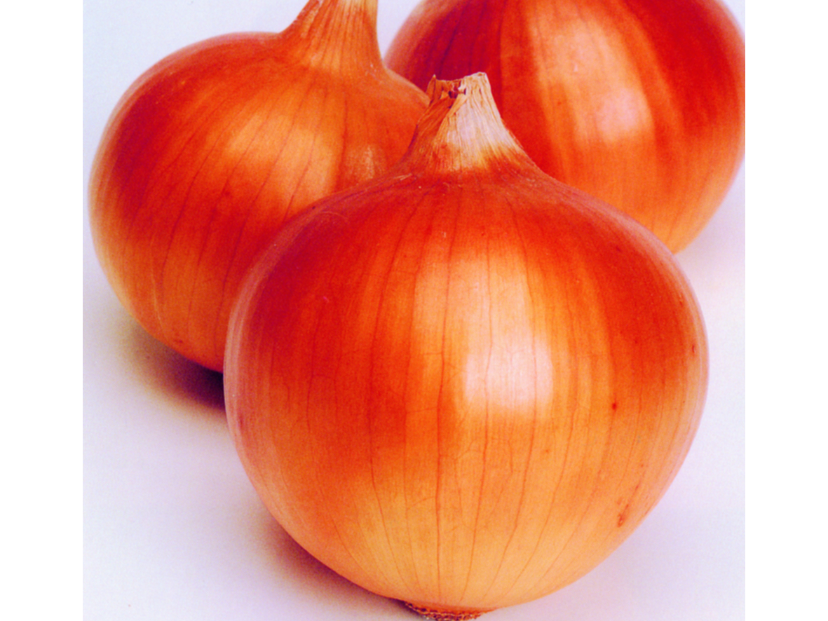 VALENCIANITA SEL. LA BANDA - DOYPACK 1/4 KG
