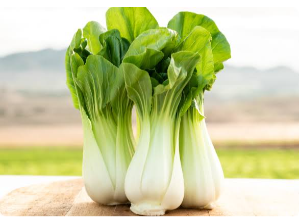 PAK CHOI BLANCO - LATA 50 GRS.