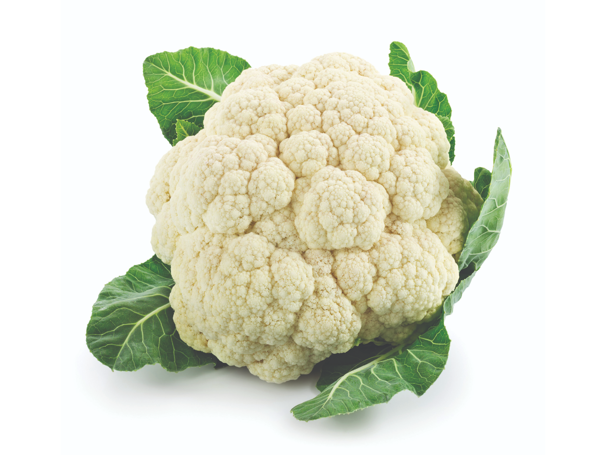 SNOWBALL - DOYPACK 1/4 KG