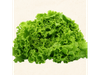 WALLDMANN'S GREEN - LATA 1 LIBRA (BON)