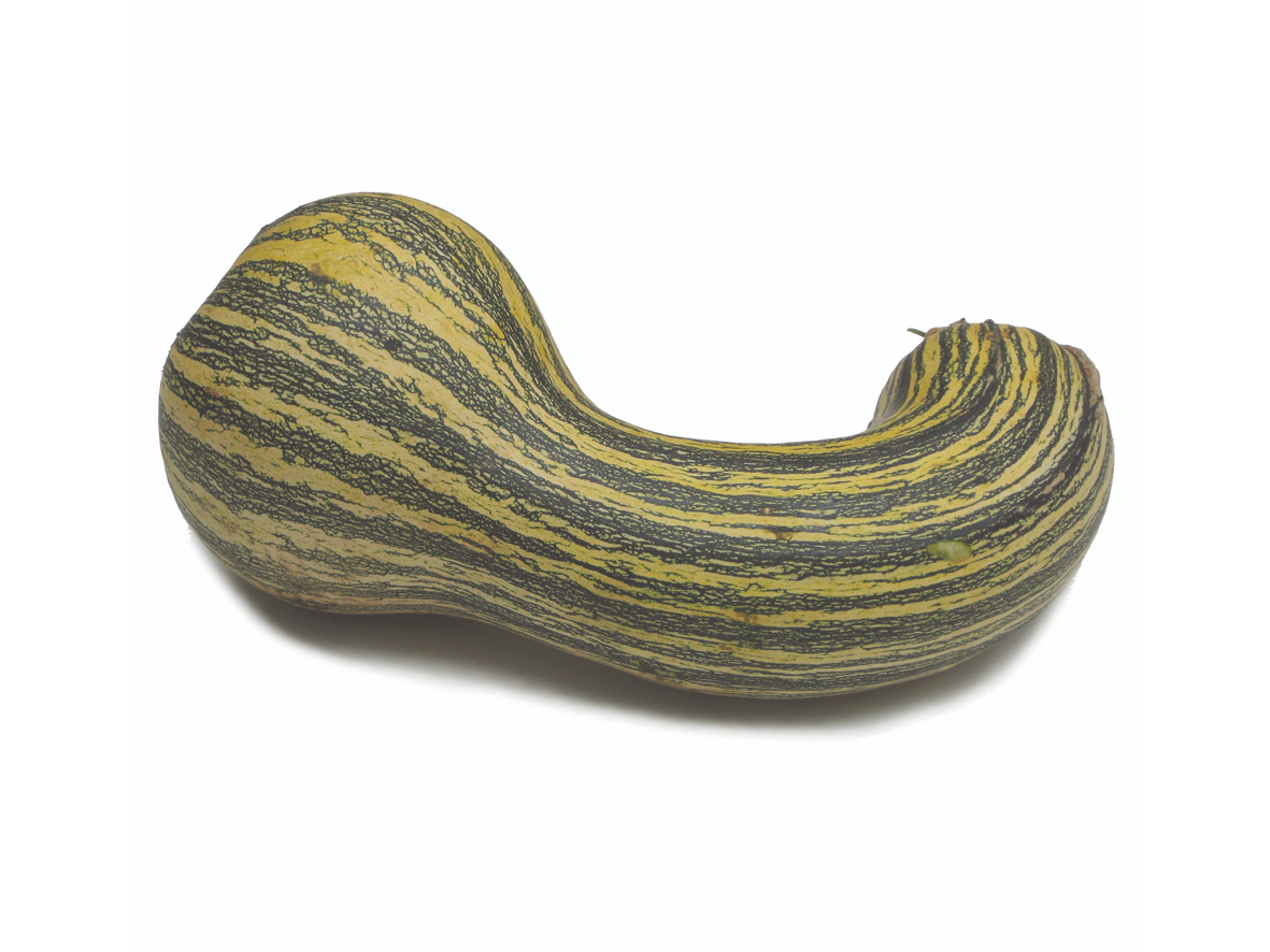 CALABAZA RAYADA - ALFOIL 4 KG