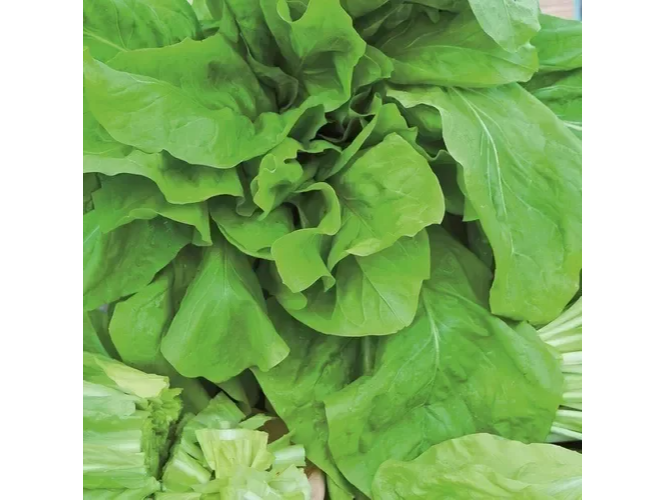 HOJA ANCHA DOUBLE BLONDE - LATA 1/2 KG