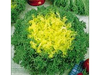 CRESPA PANCALIER - DOYPACK 100 GRS.