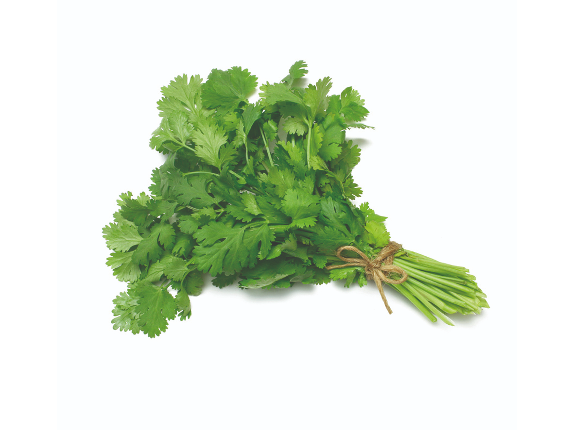 DE HOJAS LISAS COMUN  - GRANEL X KG
