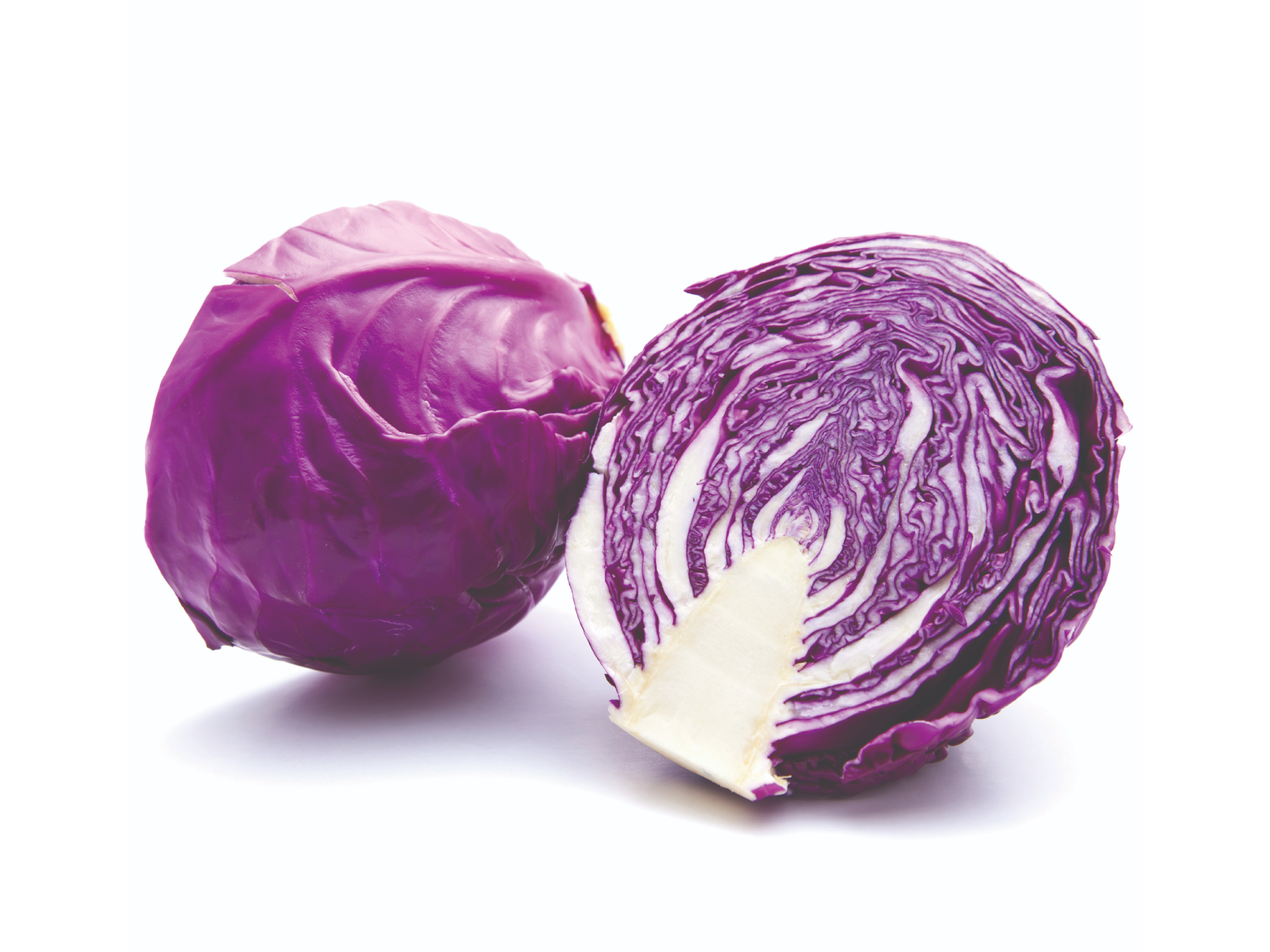 COLORADO MAMMOUTH - ALFOIL 1 KG
