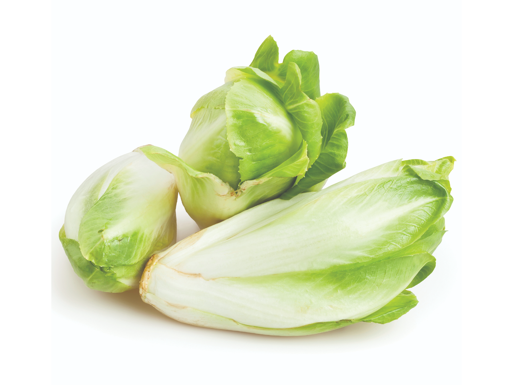 PAN DI ZUCCHERO - DOYPACK 1/4 KG