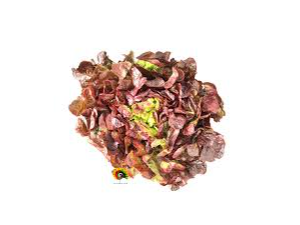 MARAVILLA DE LAS CUATRO ESTACIONES - DOYPACK 1/4 KG