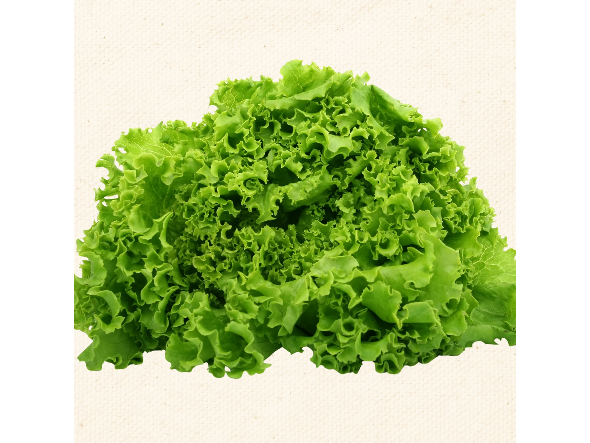 WALLDMANN'S GREEN - ALFOIL 5 KG