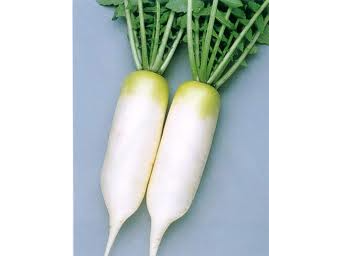 F1 - RELISH CROSS (HOMBRO VERDE) - SOBRE 10 GRS.