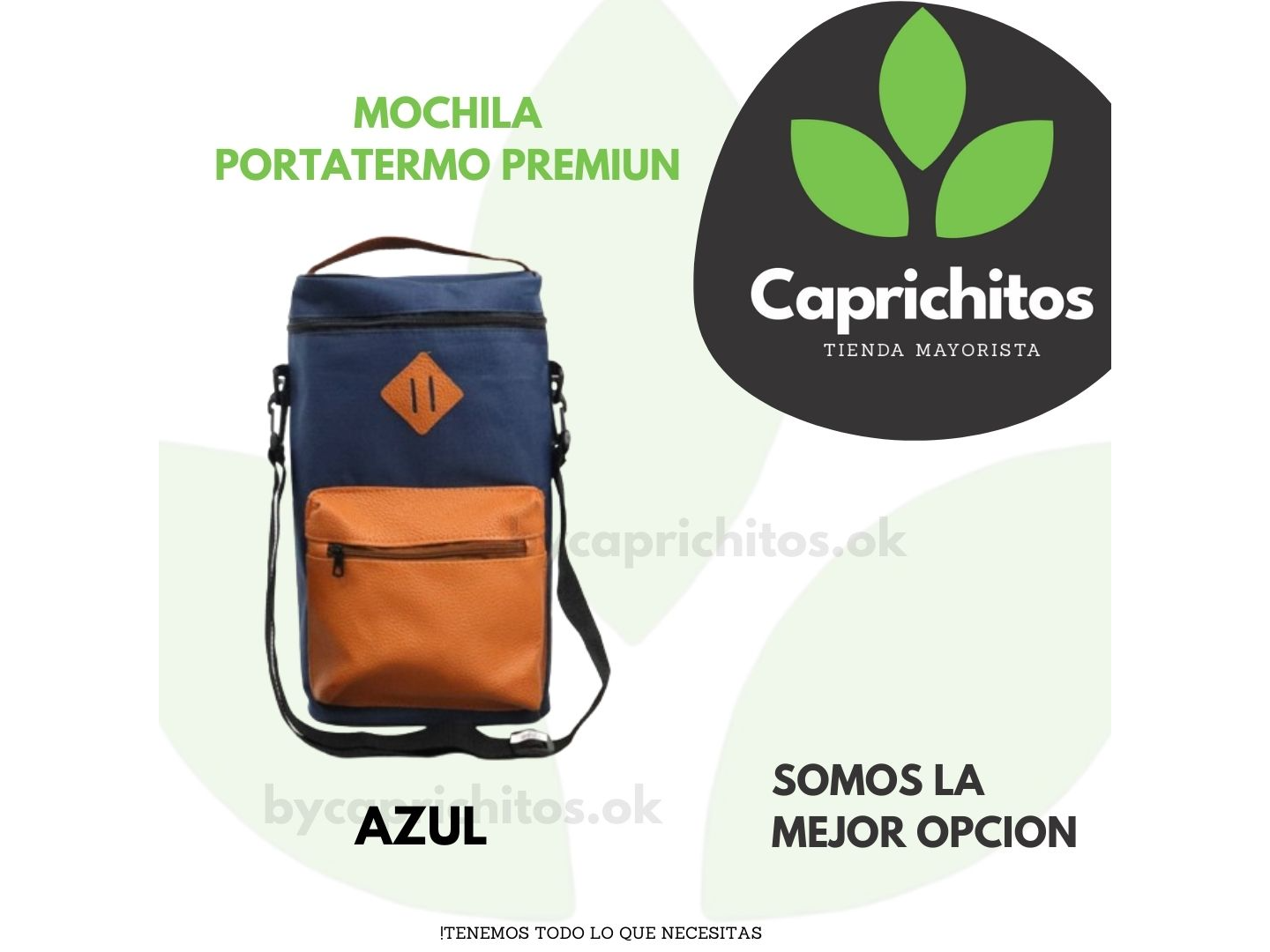 MOCHILA PORTA TERMO PREMIUM