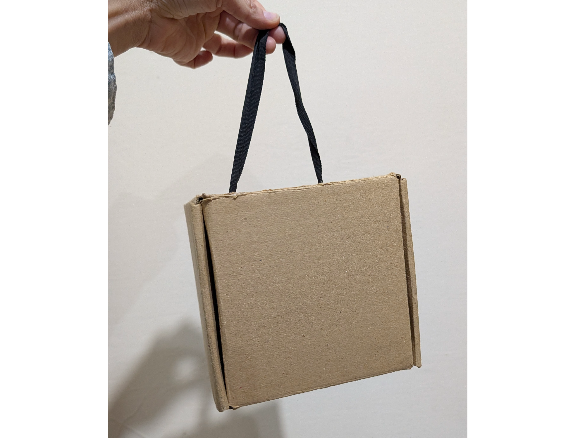 PACKAGIN CARTON CON CORDON
