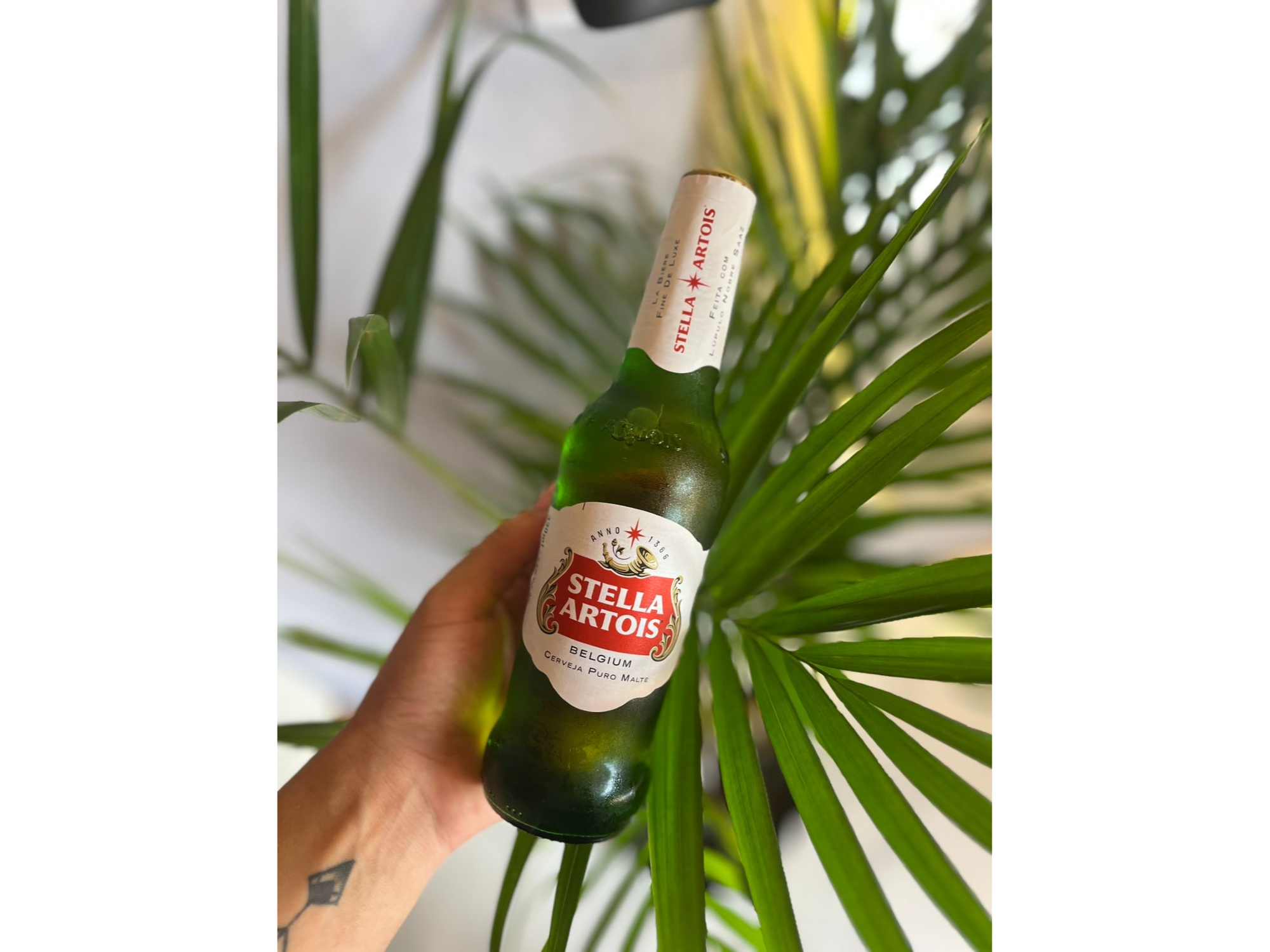 Stella Artois