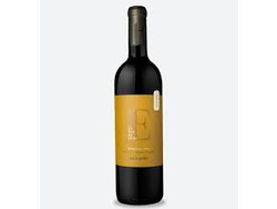 Exploracion Gualtallary