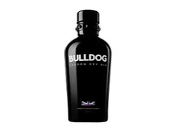 Gin Bulldog X 700