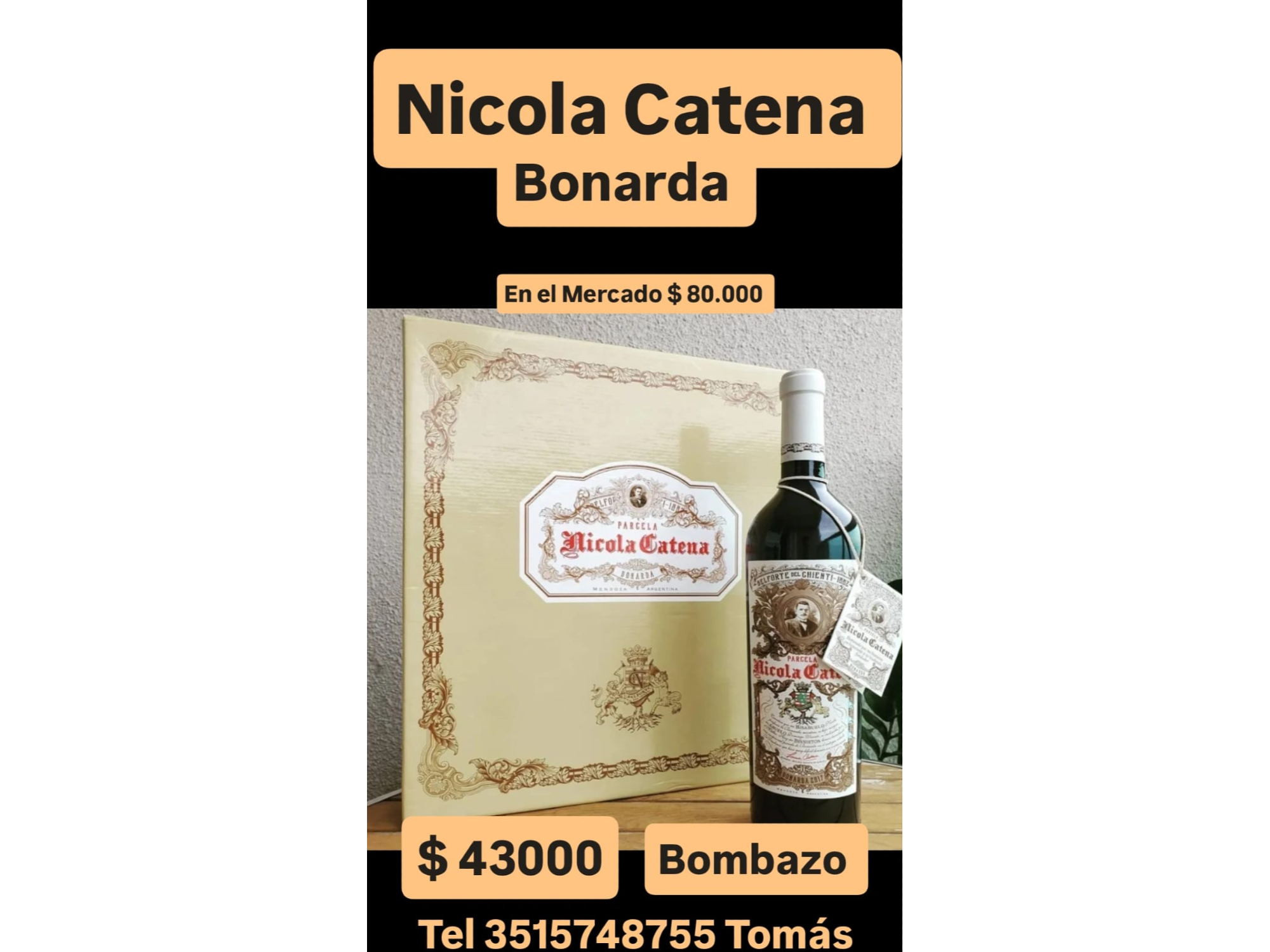 NICOLA CATENA
