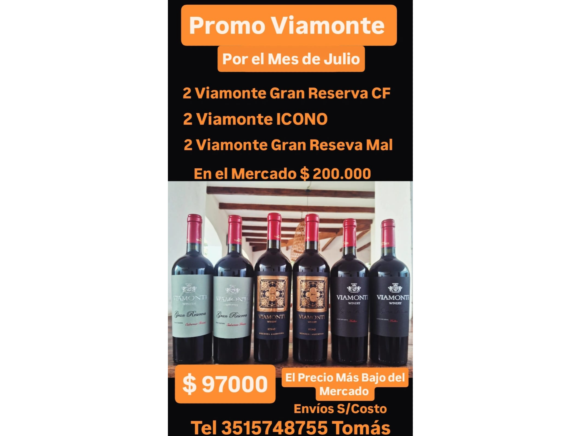 PROMO VIAMONTE