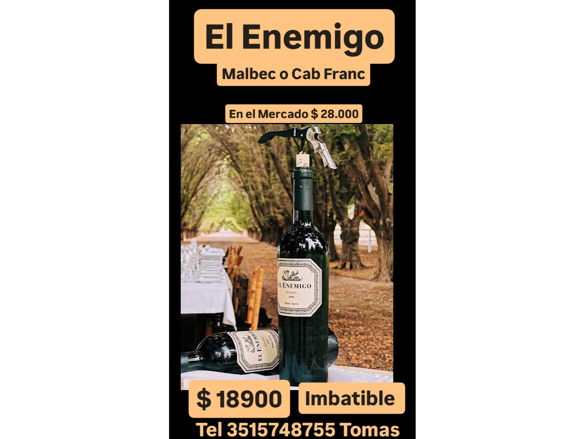 El Enemigo Malbec