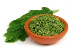 Moringa