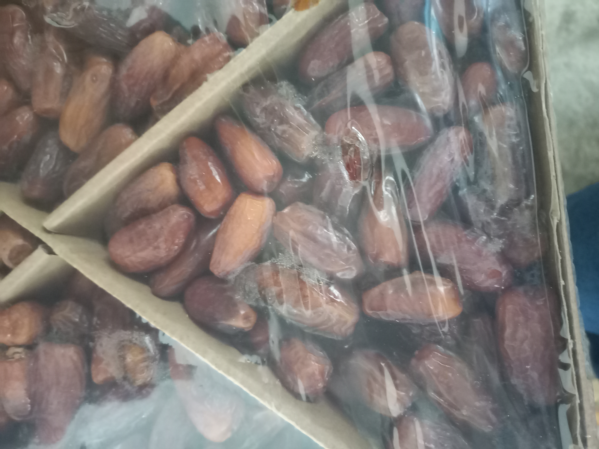 Datiles de Egipto con carozo