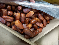 Datiles de Argelia con carozo