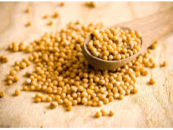 Mostaza en grano