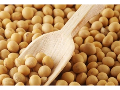 Poroto de soja