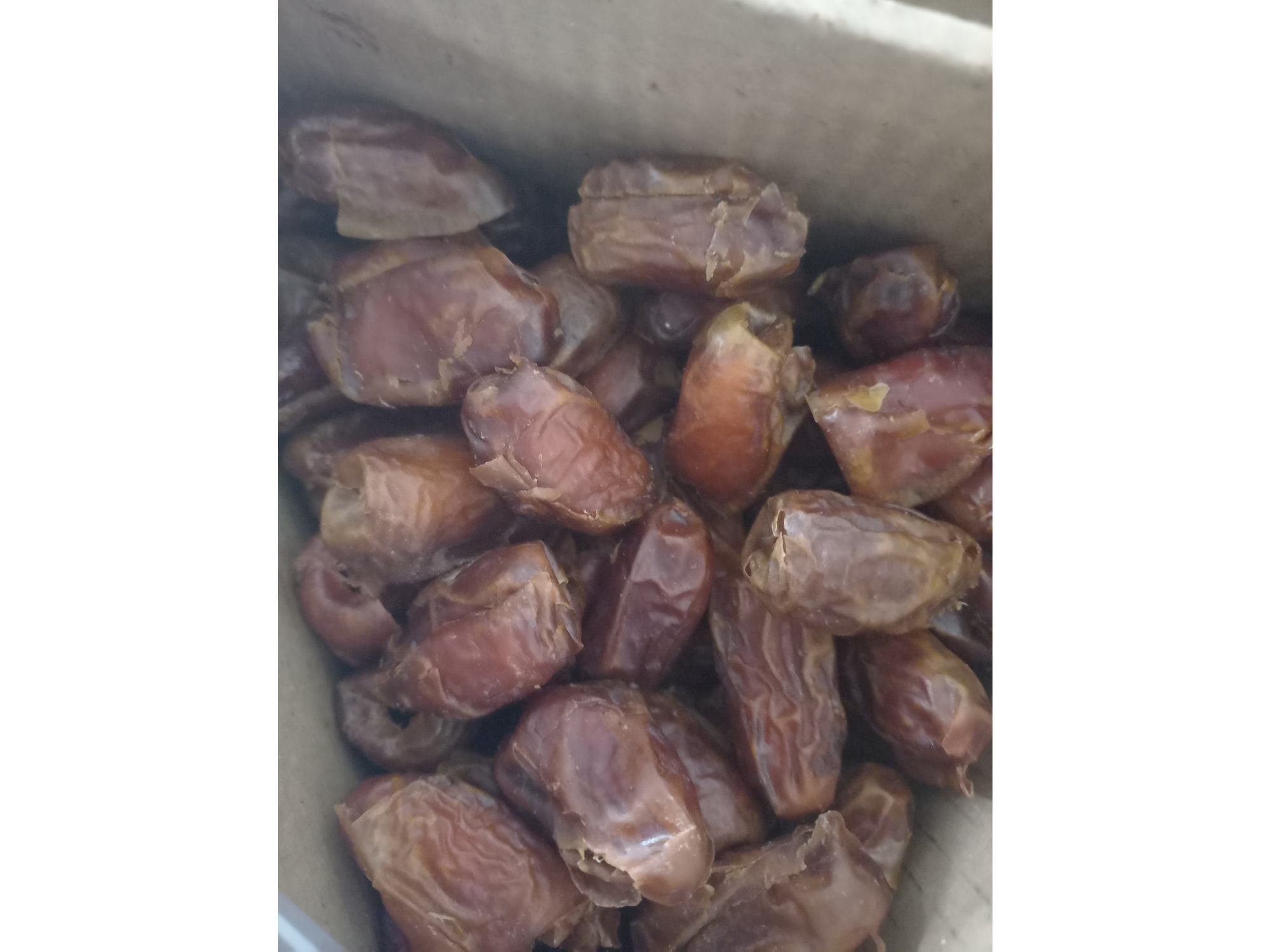 Datiles de Egipto sin carozo