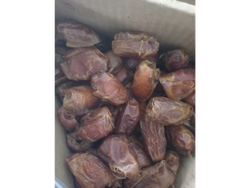 Datiles de Egipto sin carozo