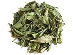 Stevia en hoja