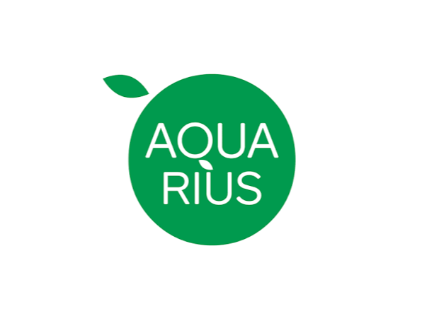 Aguas saborizadas Aquarius