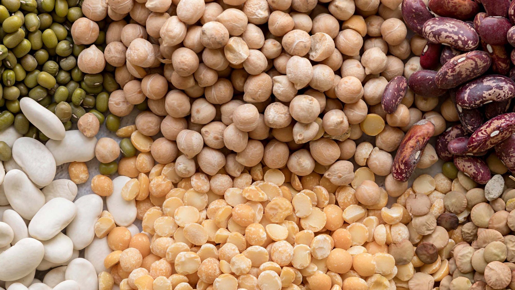 Legumbres