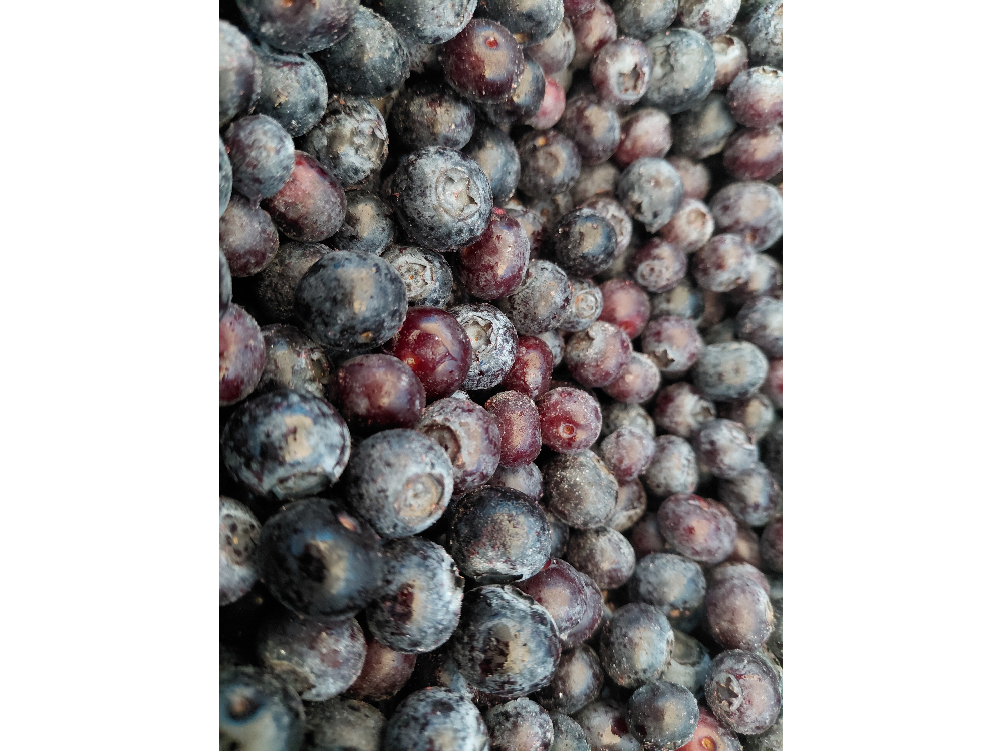 Arandanos