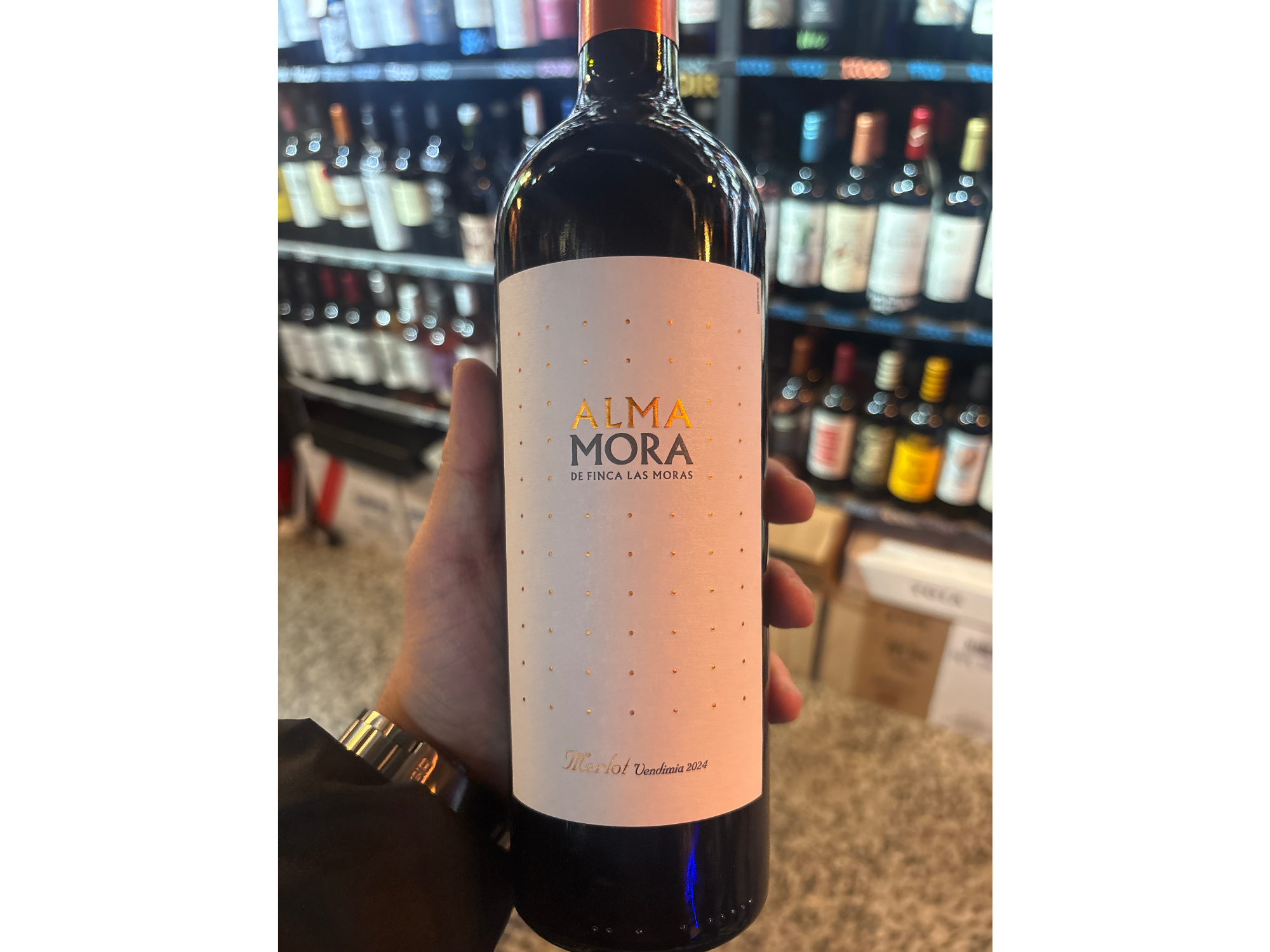 ALMA MORA MERLOT 2024