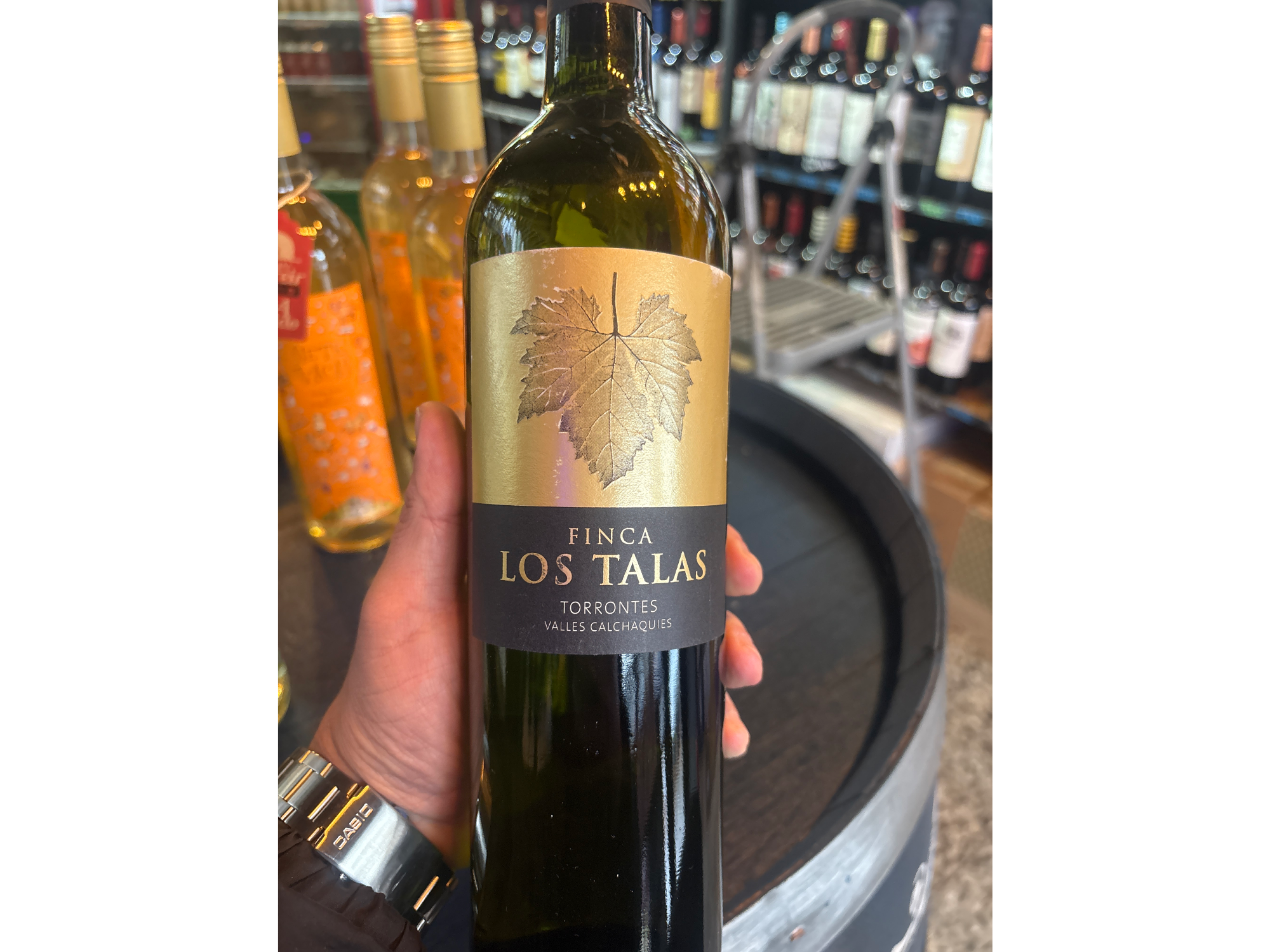 FINCA LOS TALAS TORRONTES 2022