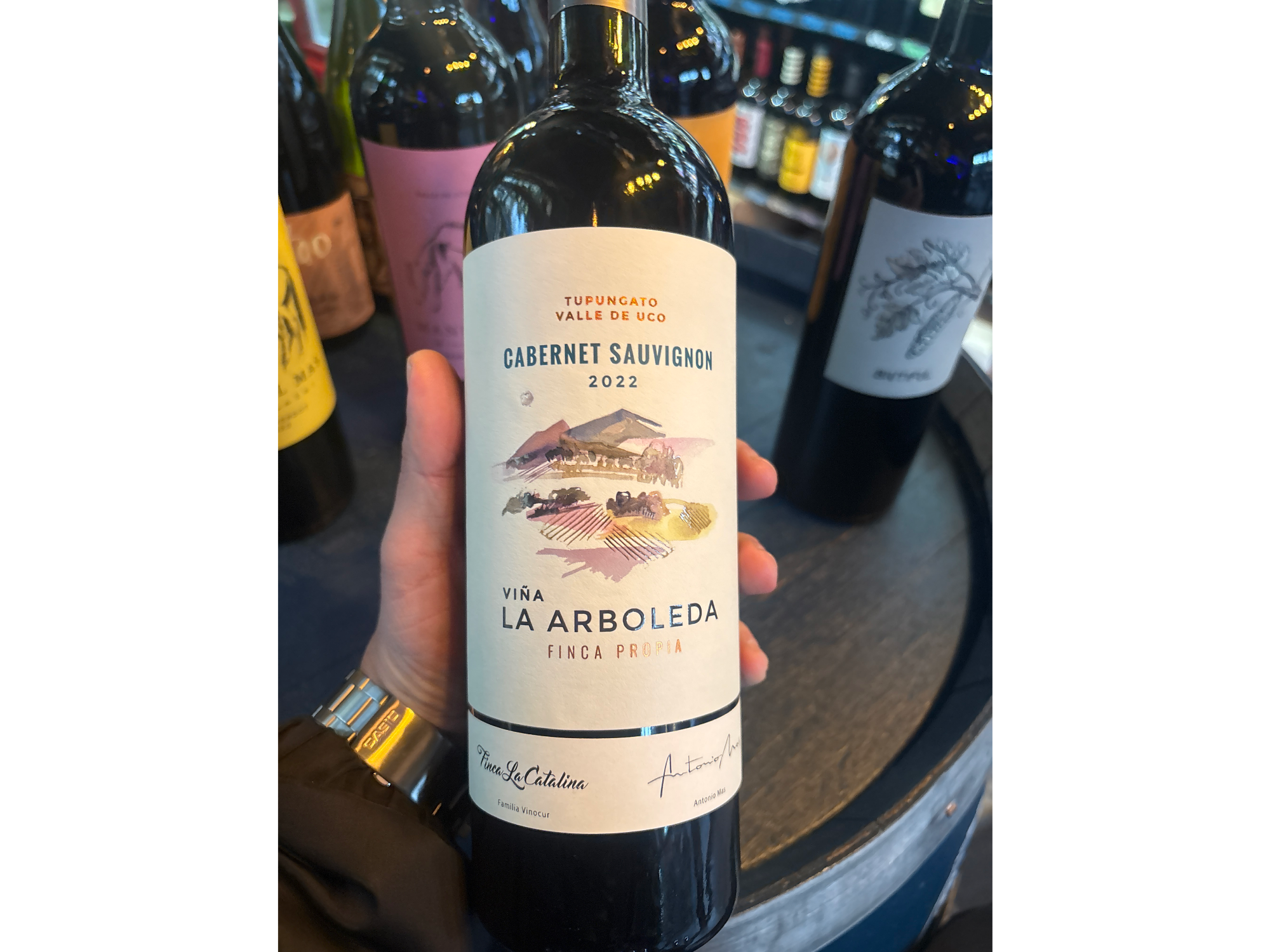 LA ARBOLEDA CABERNET SAUVIGNON 2022