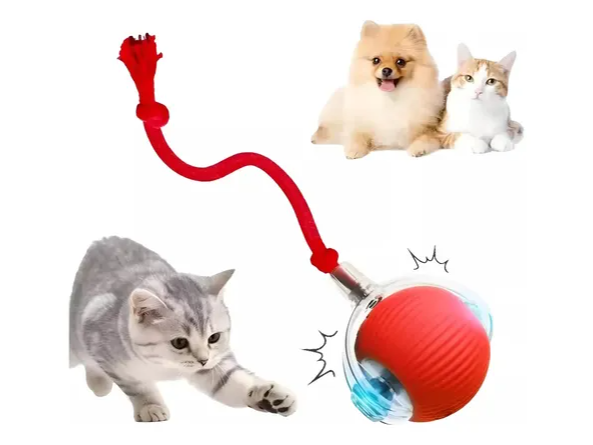 Pelota interactiva para  Perros y gatos