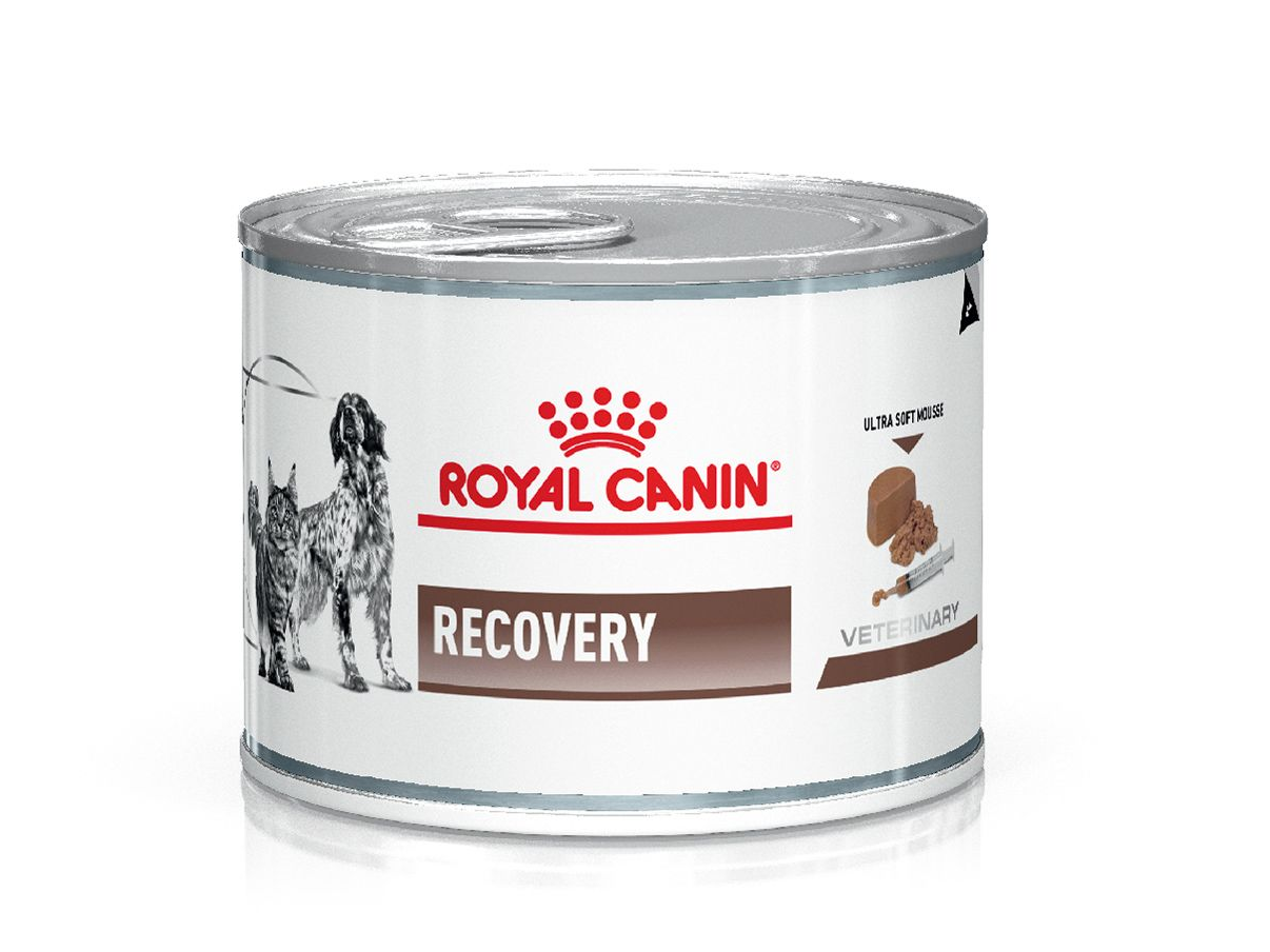 Lata Recovery 195g Gato y Perro