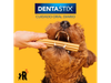 DENTASTIX