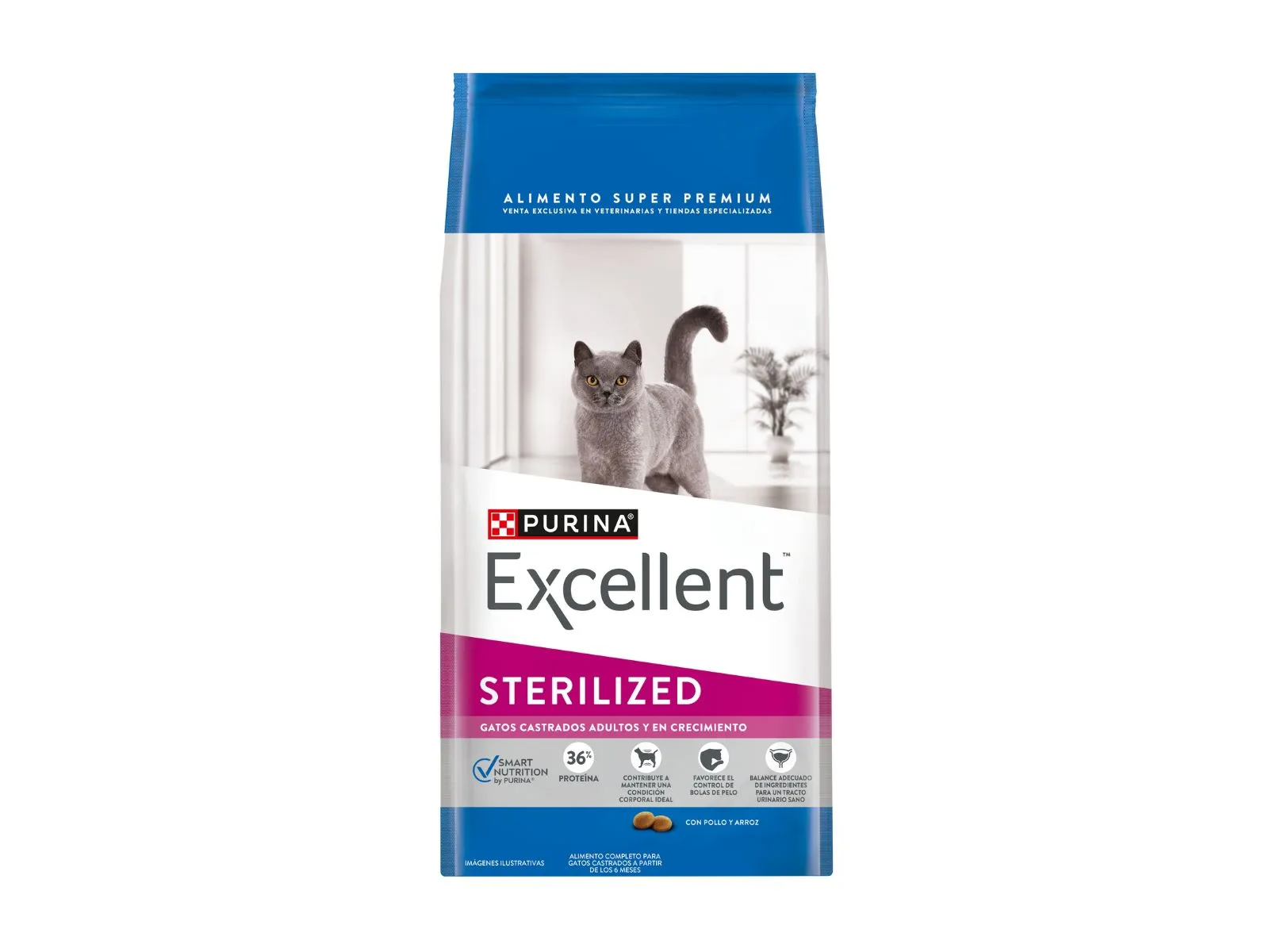 Excellent Gato Castrado