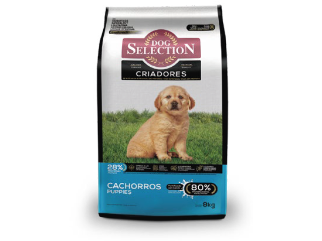 Dog Selection Cachorro x21kg