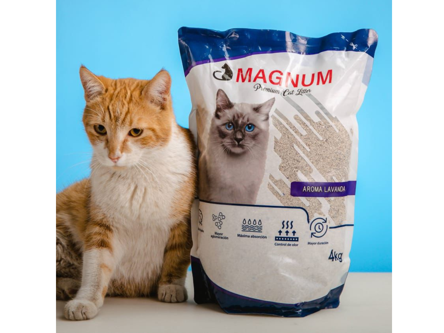 Piedras Aglutinantes 10kg